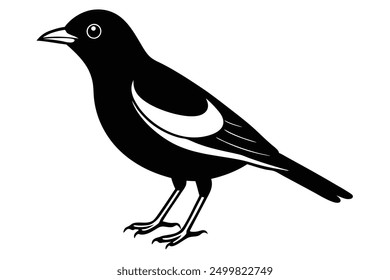 A cute bird  vector art in white background illustration.
