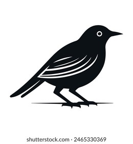 Cute bird vector black and white cartoon character design collection. White background. Pets, Animals.