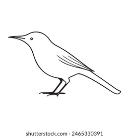 Cute bird vector black and white cartoon character design collection. White background. Pets, Animals.