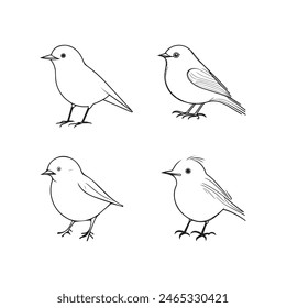 Cute bird vector black and white cartoon character design collection. White background. Pets, Animals.