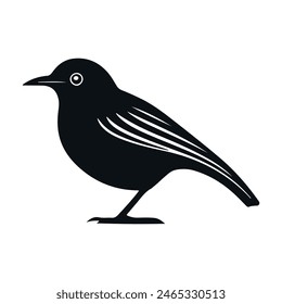 Cute bird vector black and white cartoon character design collection. White background. Pets, Animals.