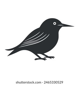 Cute bird vector black and white cartoon character design collection. White background. Pets, Animals.