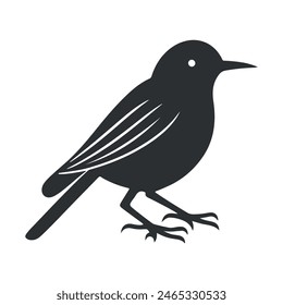 Cute bird vector black and white cartoon character design collection. White background. Pets, Animals.