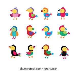 cute bird vector collection