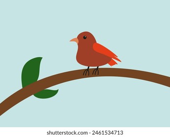 lindo diseño plano de la Ilustración vectorial del pájaro