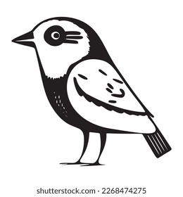 Cute bird vector illustration. Low brow ornithology wildlife motif. 