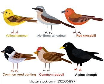 Cute bird vector illustration set, Yellowhammer, Wheatear, Red crossbill, Reed bunting, Redpoll, Alpine Chough, Colorful European bird cartoon collection