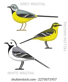 Cute Bird Wagtail Set Cartoon Vector