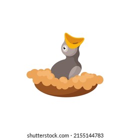 cute bird waiting for food in the nest