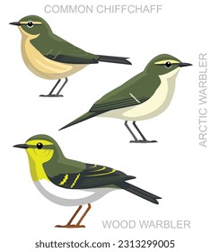 Cute Bird Warbler Chiffchaff Set Cartoon Vektor