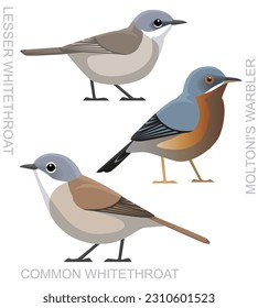 Cute Bird Whitethroat Warbler Set Cartoon Vector
