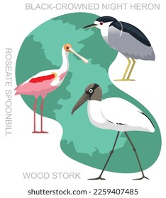 Cute Bird Wood Stork Night Heron Set Cartoon Vector