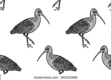 Cute birdies ibises in profile. Seamless pattern. Black graphics on a white background. Vector illustration. Vintage engraving. Template for the design of paper, wallpaper, textiles.