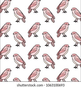 cute birds with beautiful plumage pattern