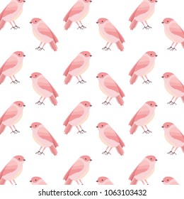 cute birds with beautiful plumage pattern