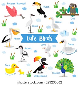 Cute Birds cartoon on white background with animal name. Set 1.