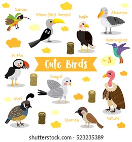 Cute Birds cartoon on white background with animal name. Set 3.