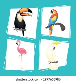 Cute birds cartoons set on blue background