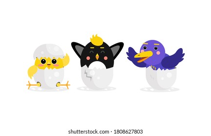 Cute Birds and Chicks Hatching from Egg Vector Set