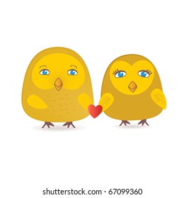 Cute birds couple in love