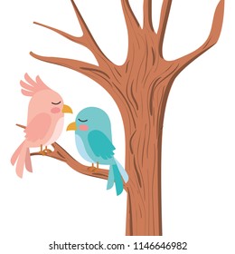 cute birds couple in tree
