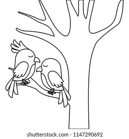 cute birds couple in tree