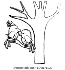 cute birds couple in tree