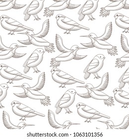 cute birds flying with beautiful plumage pattern