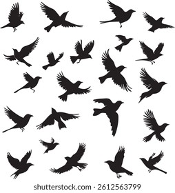 Cute birds flying set silhouette black and white 