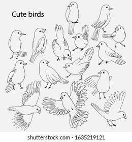 Cute birds icons in different poses. Set of hand drawn outline illustrations