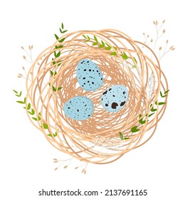A cute bird's nest with small eggs inside. Easter card. Spring background. Frame, wreath with a feather. Vector illustration. isolated on a white background.