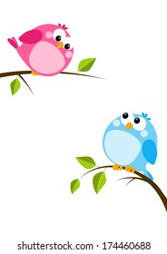 Cute birds on spring branches