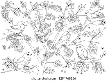 cute birds on tree of rowan with bunches of berries for your coloring page 