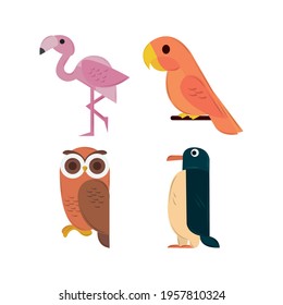 cute birds penguin parrot owl