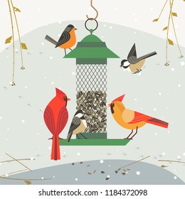 Cute birds poster. Red Northern cardinal, chickadee robin comic cartoon. Minimalism simplicity design. Winter bird feeding by sunflower seeds in feeder. Birdwatching background. Vector illustration