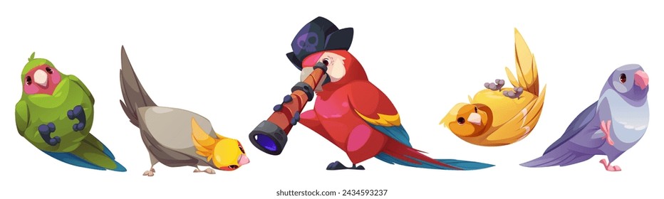 Pájaros lindos establecidos aislados sobre fondo blanco. Ilustración vectorial de dibujos animados de loro de cacatúa exótica, mascota de plumas cómicas en sombrero pirata con spyglass, paloma gris y canario amarillo, elementos de diseño de zoológico