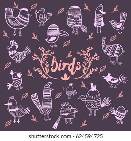 Cute birds set. Vector illustration cartoon colorful