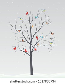 Cute birds with tree branch on winter scene