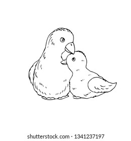 Cute  birds. Vector illustration.