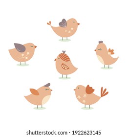 Vector de pájaros pequeños aislado en el fondo blanco.
