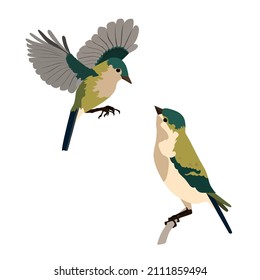 Cute birds for your design on a white isolated background.