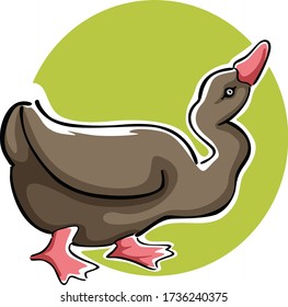 Cute birds for your design. Vector illustration