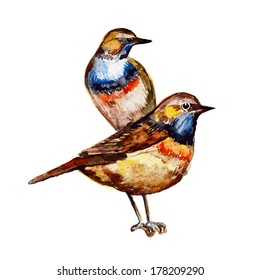 Cute birds for your design. watercolor