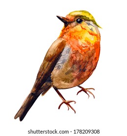 Cute birds for your design. watercolor