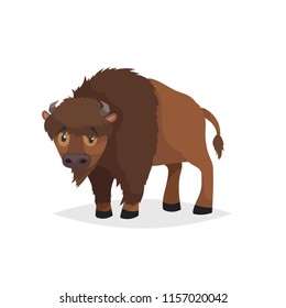 Cute bison standing. Cartoon comic style vector illustration of forest wild animal. Buffalo. Europe and north America animal.