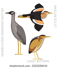 Cute Bittern Night Heron Set Cartoon Vector