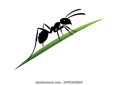 cute black ant holding a green leaf cartoon bug animal design vector illustration isolated on white background