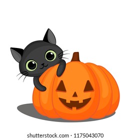 Cute black cat behind a Halloween pumpkin