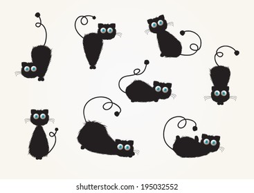 A cute black cat in different positions