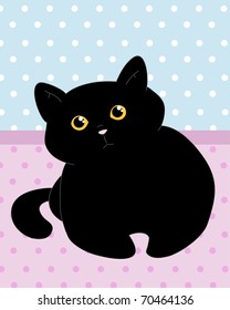 cute black cat with dotted background